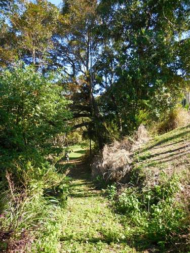 Australian  WWII - Far North  Queensland Metal detecting and  recovery