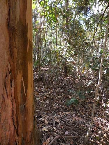 Australian  WWII - Far North  Queensland Metal detecting and  recovery