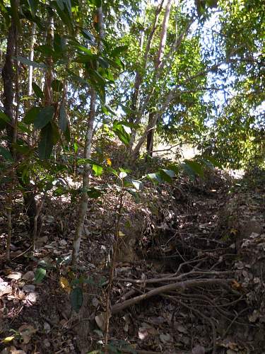 Australian  WWII - Far North  Queensland Metal detecting and  recovery