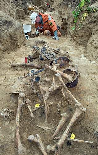 Battle of Seelow Heights - Remains of German Soldiers Recovered 69 Years On.