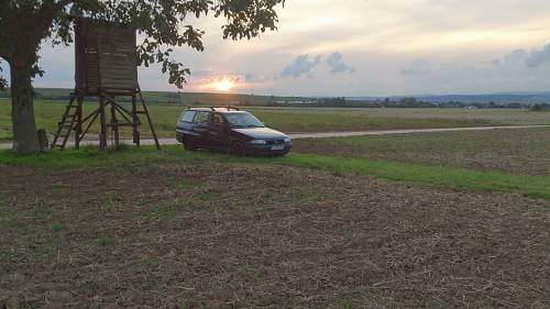 Digging in Germany/ Kurzeme