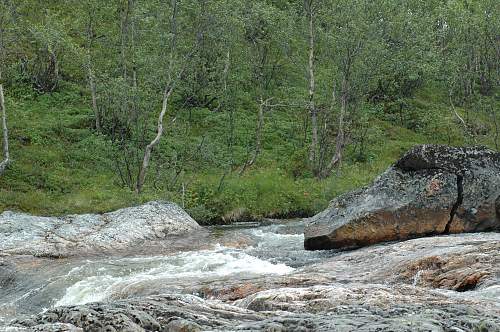 Battlefields in North Karelia( SS-Nord Division)