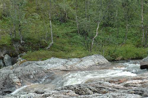 Battlefields in North Karelia( SS-Nord Division)