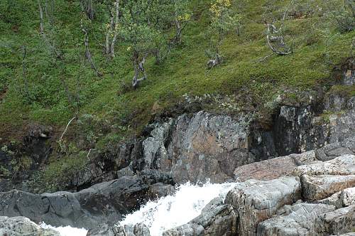 Battlefields in North Karelia( SS-Nord Division)