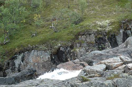 Battlefields in North Karelia( SS-Nord Division)