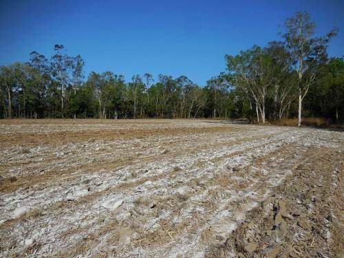 Australian  WWII - Far North  Queensland Metal detecting and  recovery