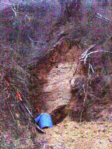 Stalingrad: digging near Gorodis&#1089;he &amp; Gumrak