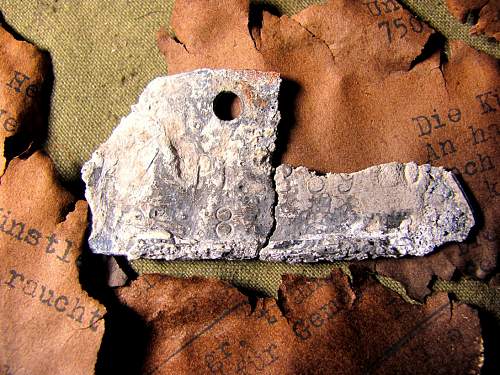 Stalingrad: digging near Gorodis&#1089;he &amp; Gumrak