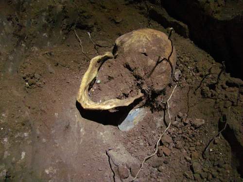 Stalingrad: digging near Gorodis&#1089;he &amp; Gumrak