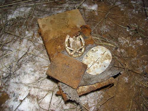 Stalingrad: digging near Gorodis&#1089;he &amp; Gumrak