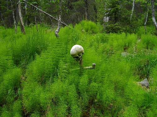 Battlefields in North Karelia( SS-Nord Division)