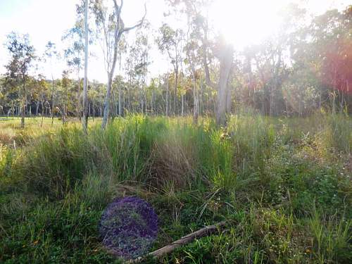 Australian  WWII - Far North  Queensland Metal detecting and  recovery