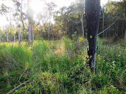 Australian  WWII - Far North  Queensland Metal detecting and  recovery