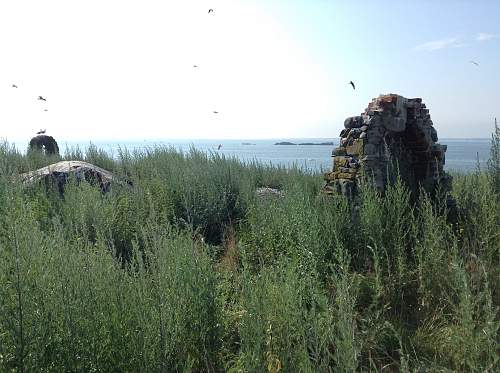 Boston WW2, harbor islands ruins/bunkers.