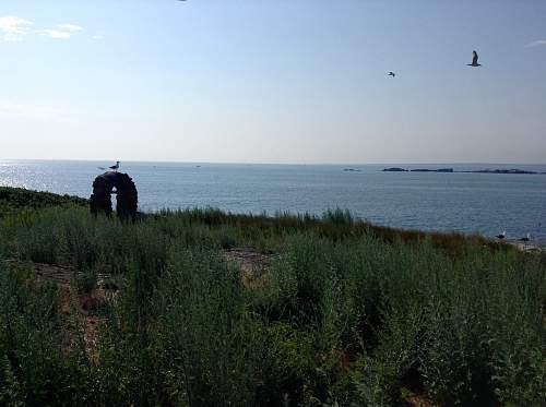 Boston WW2, harbor islands ruins/bunkers.