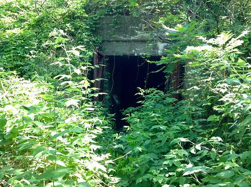 Boston WW2, harbor islands ruins/bunkers.