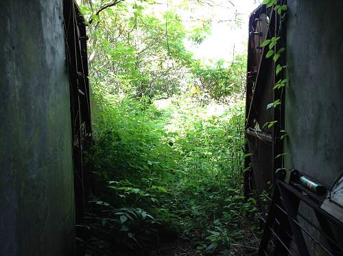 Boston WW2, harbor islands ruins/bunkers.