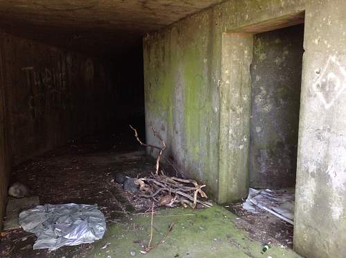 Boston WW2, harbor islands ruins/bunkers.