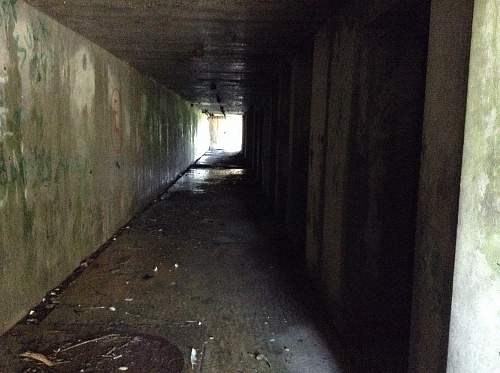 Boston WW2, harbor islands ruins/bunkers.