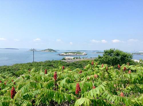 Boston WW2, harbor islands ruins/bunkers.