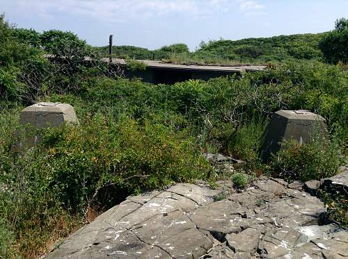 Boston WW2, harbor islands ruins/bunkers.