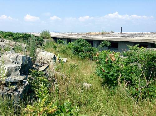 Boston WW2, harbor islands ruins/bunkers.