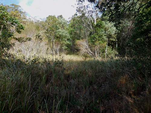 Australian  WWII - Far North  Queensland Metal detecting and  recovery