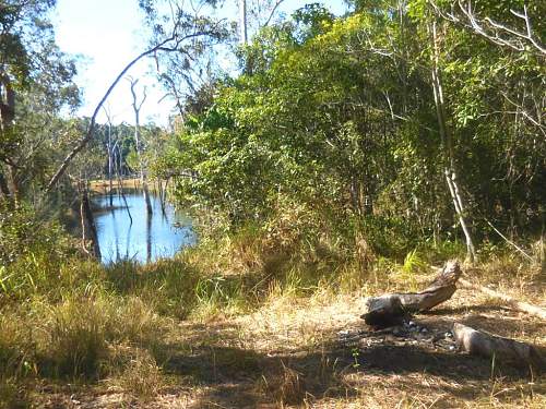 Australian  WWII - Far North  Queensland Metal detecting and  recovery