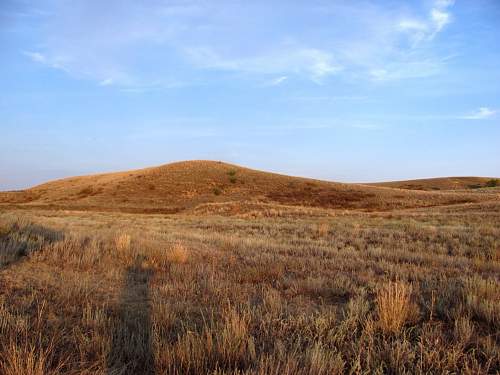 Stalingrad: digging near Gorodis&#1089;he &amp; Gumrak