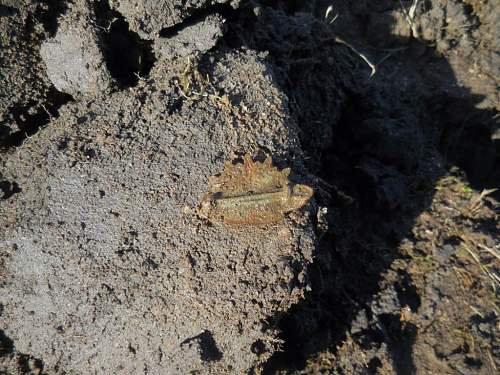 Australian  WWII - Far North  Queensland Metal detecting and  recovery