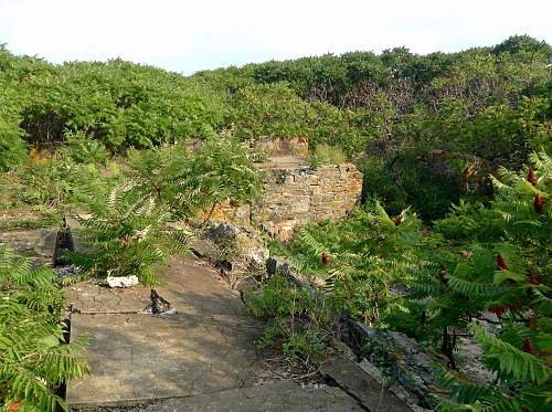 Boston WW2, harbor islands ruins/bunkers.