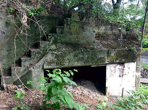 Boston WW2, harbor islands ruins/bunkers.