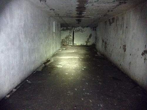 Boston WW2, harbor islands ruins/bunkers.