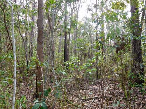 Australian  WWII - Far North  Queensland Metal detecting and  recovery