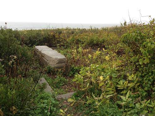 Boston WW2, harbor islands ruins/bunkers.