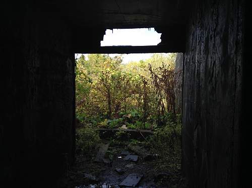 Boston WW2, harbor islands ruins/bunkers.