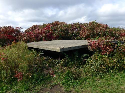 Boston WW2, harbor islands ruins/bunkers.