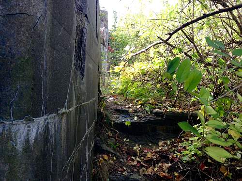 Boston WW2, harbor islands ruins/bunkers.