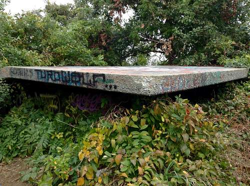 Boston WW2, harbor islands ruins/bunkers.