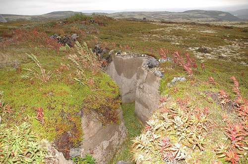 Battlefields in North Karelia( SS-Nord Division)