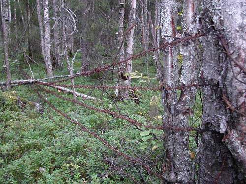 Battlefields in North Karelia( SS-Nord Division)