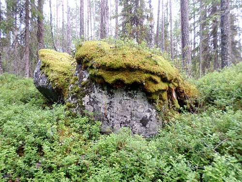 Battlefields in North Karelia( SS-Nord Division)