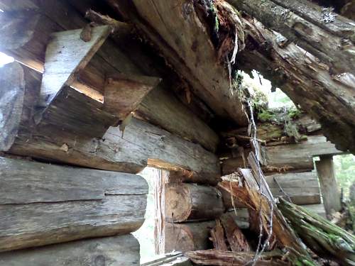 Battlefields in North Karelia( SS-Nord Division)