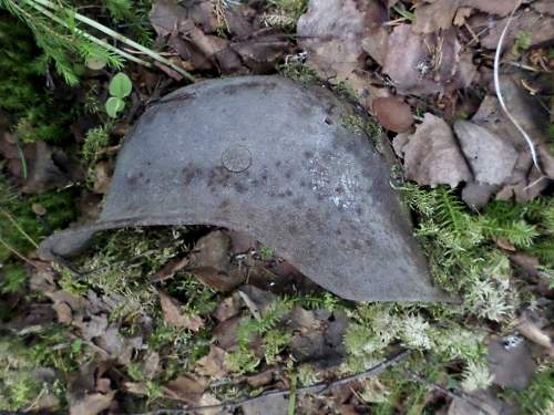 Battlefields in North Karelia( SS-Nord Division)