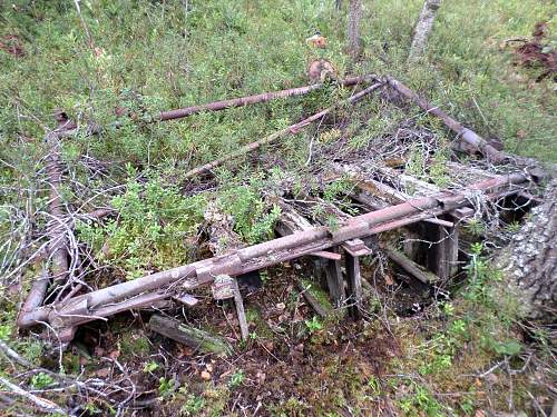 Battlefields in North Karelia( SS-Nord Division)