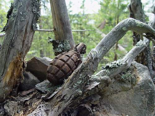 Battlefields in North Karelia( SS-Nord Division)