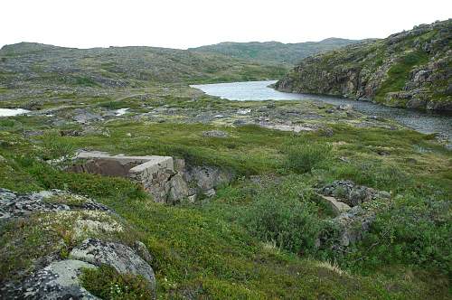 Battlefields in North Karelia( SS-Nord Division)