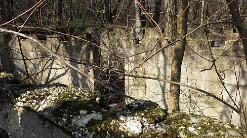 Eastern Front Relics of more kind