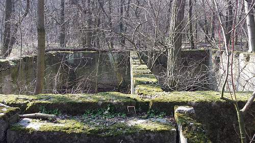 Eastern Front Relics of more kind