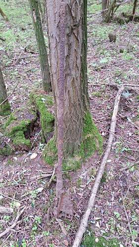 Eastern Front Relics of more kind